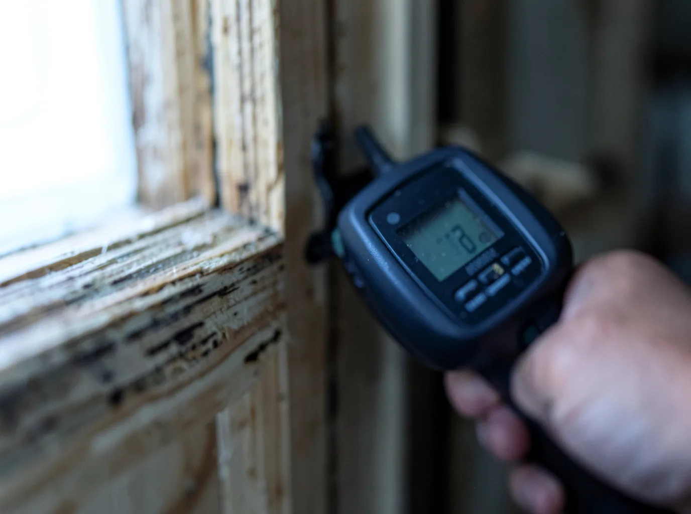 Moisture Inspection And Documentation in Ophiem, IL
